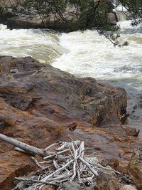 High angle view of rocks in forest