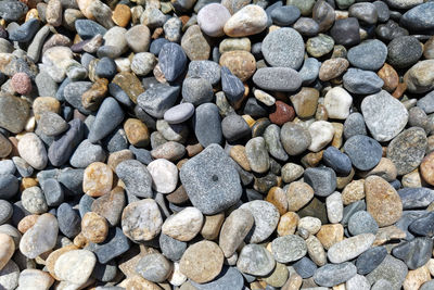 Pebble beach on the black sea coast