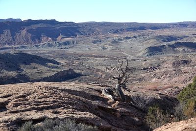 Aerial view of landscape