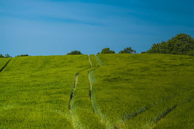 Scenic view of land against sky