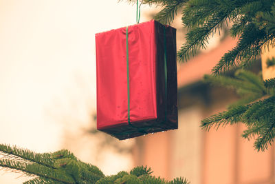 Gift wrapped in red glossy foil hung on a fir tree as a decorative element for the christmas season