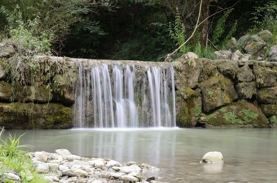 Scenic view of waterfall in forest