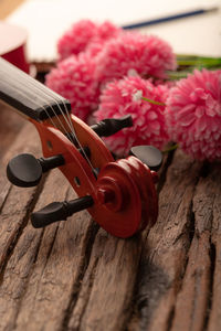 Close-up of red flowers on table