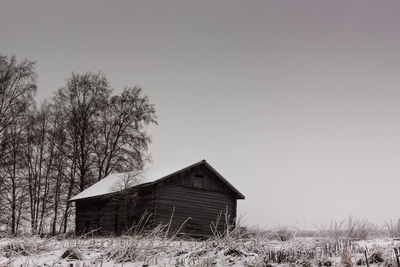 Bare trees in a house