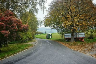 Road passing through forest