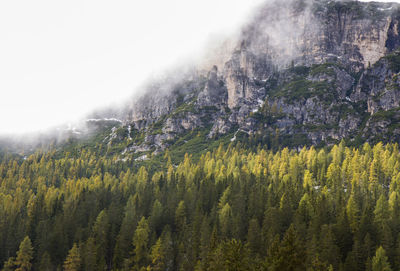 Autumn landscape in dolomites italy with the tre cime mountain