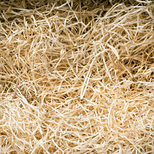 Full frame shot of dry plants