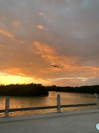 Seagull flying over lake against sky during sunset