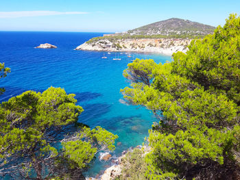 Bright colors of the wild nature of the bay of cala d'hort in ibiza in summer in balearic island