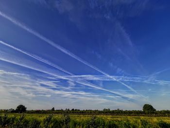 Scenic view of field against blue sky