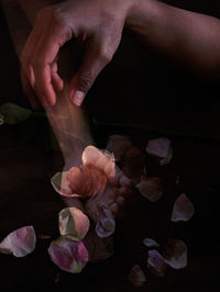 Close-up of hand holding pink flower