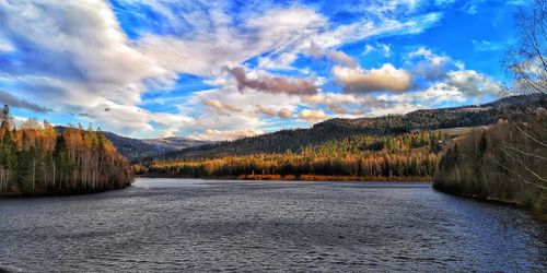 Scenic view of river amidst trees against sky