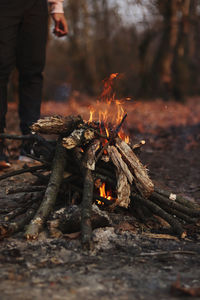 View of bonfire on wooden log