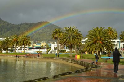 Scenic view of rainbow over river in city