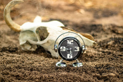 Close-up of clock on the ground