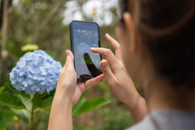 Close-up of woman photographing hydrangea with smart phone in park