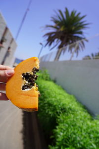 Close-up of hand holding orange fruit