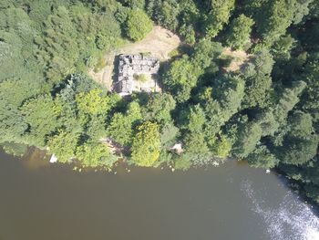 High angle view of plants growing by building