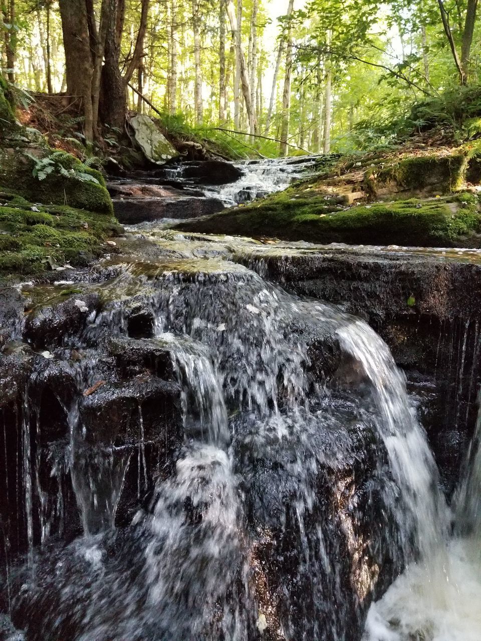 SCENIC VIEW OF STREAM FLOWING THROUGH ROCKS