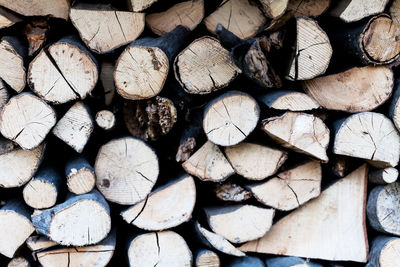 Full frame shot of logs in forest