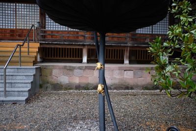 Rear view of people working on building