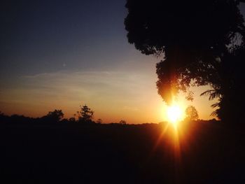 Silhouette of trees at sunset