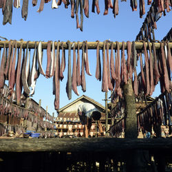 Fish drying on wooden structure