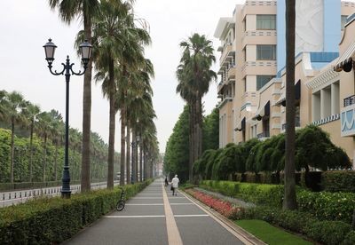 Street amidst trees and plants in city against sky