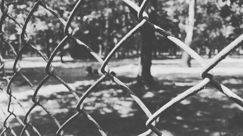 Close-up of chainlink fence against sky