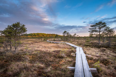 Boardwalk on landscape against sky