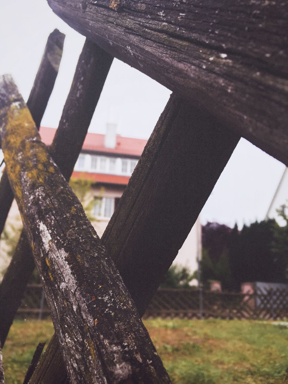 focus on foreground, close-up, built structure, architecture, tree, metal, city, outdoors, day, no people, sky, weathered