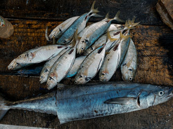 High angle view of fish for sale at market stall