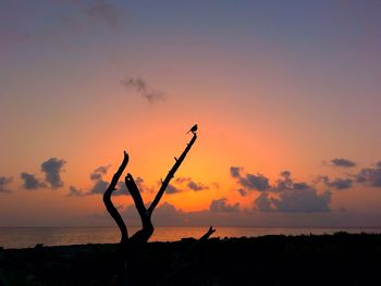 Scenic view of sea at sunset