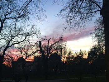 Bare trees against sky at sunset