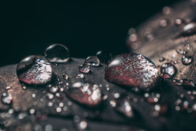 Close-up of water drops on table