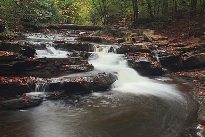 Aerial view of waterfall in forest