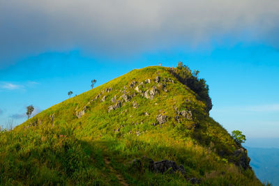 Doi pha tang at chiangrai thailand