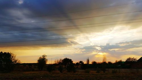 Silhouette trees on field against sky at sunset