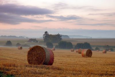 Hay bales on field against sky