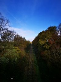 Railroad tracks amidst trees in forest against sky