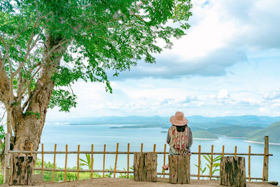 Scenic view of tree by fence against sky