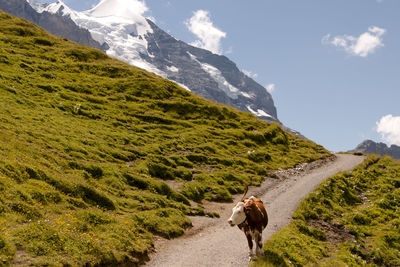 People walking on road by mountain against sky