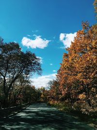 Road amidst trees against sky during autumn