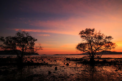 Silhouette tree by lake against sky during sunset