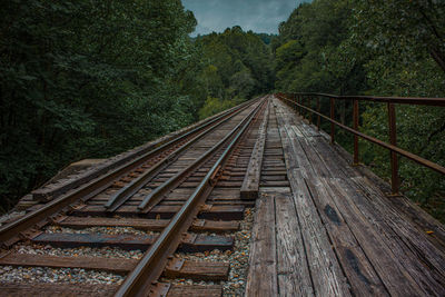 Railroad tracks in forest