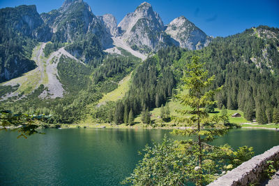 Scenic view of lake by trees against sky