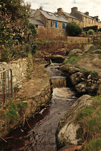 River flowing amidst buildings and trees