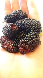 High angle view of blackberries on table