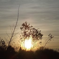 Scenic view of landscape at sunset