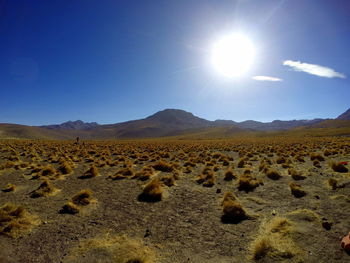 Scenic view of desert against clear sky